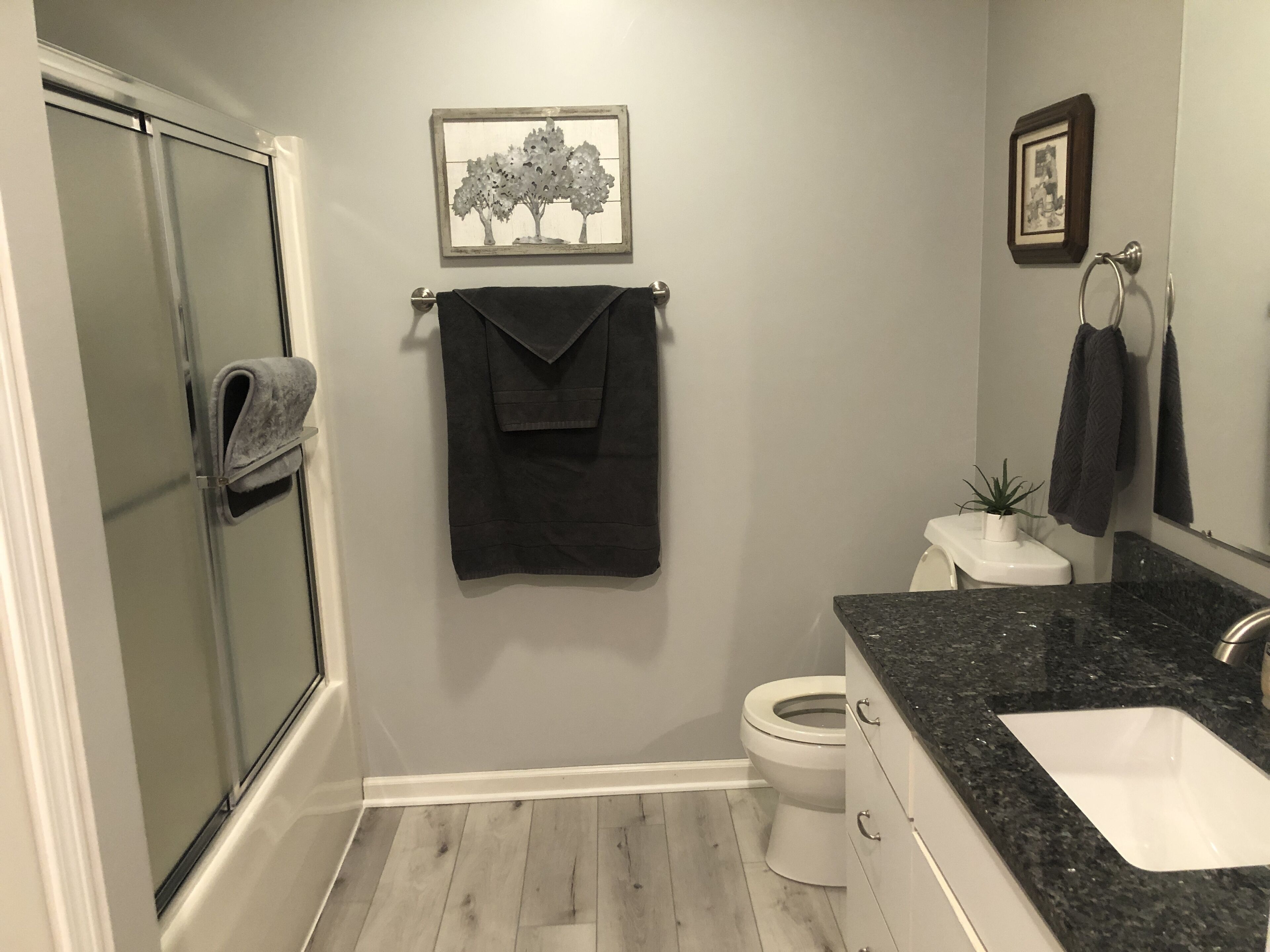 Haartrockner, Handtücher, Seife, Shampoo