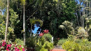 Un sendero atraviesa un jardín exuberante con diversas plantas y una escalera de ladrillo.
