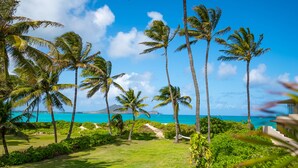 A tropical landscape with palm trees, a clear blue sky, and a view of the ocean. - Hale Oahu Lic.#1990/NUC-1777/1778 BEACHFRONT KAILUA LUXURY (Kailua)