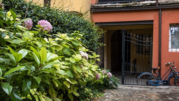 A cobblestone pathway leading to a building with a wrought iron gate and bicycles parked outside.