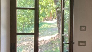 Une porte en bois avec un panneau de verre, donnant sur un espace extérieur agrémenté d’un arbre et d’un sentier.