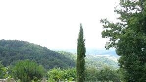 Une table dressée avec différents plats, une vue sur un paysage montagneux et une personne tenant un bol.