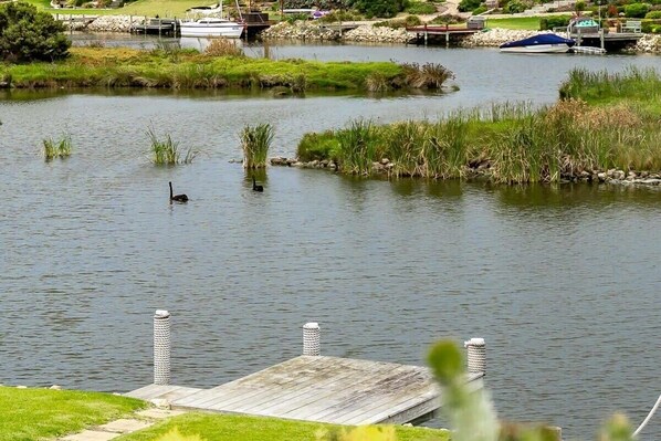 Um lago calmo com um cais de madeira e um barco pequeno.