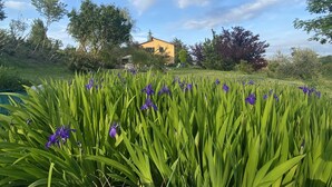 A garden with purple flowers and a house in the background. - Houses Crovina, large apartment with swimming pool in the hills (Emilia-Romagna)