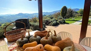 A table with various pumpkins and gourds, a wicker basket, and a grill, set outdoors with a scenic view in the background. - Houses Crovina, large apartment with swimming pool in the hills (Emilia-Romagna)
