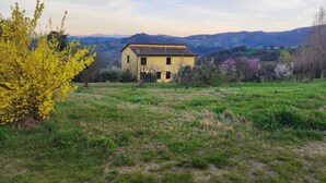 A yellow building with a sloped roof, surrounded by green fields and trees with yellow and pink blossoms. - Houses Crovina, large apartment with swimming pool in the hills (Emilia-Romagna)