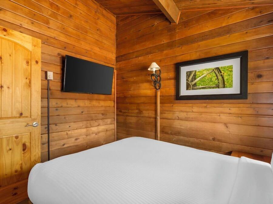A wooden-paneled room with a bed, a flat-screen TV, and a framed picture on the wall.