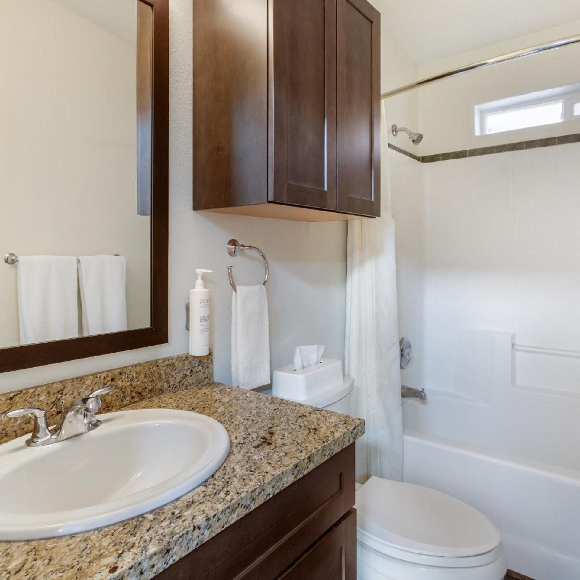 Une salle de bain comprenant un lavabo avec un plan de travail en granit, un miroir, un porte-serviettes, des toilettes et un espace douche.