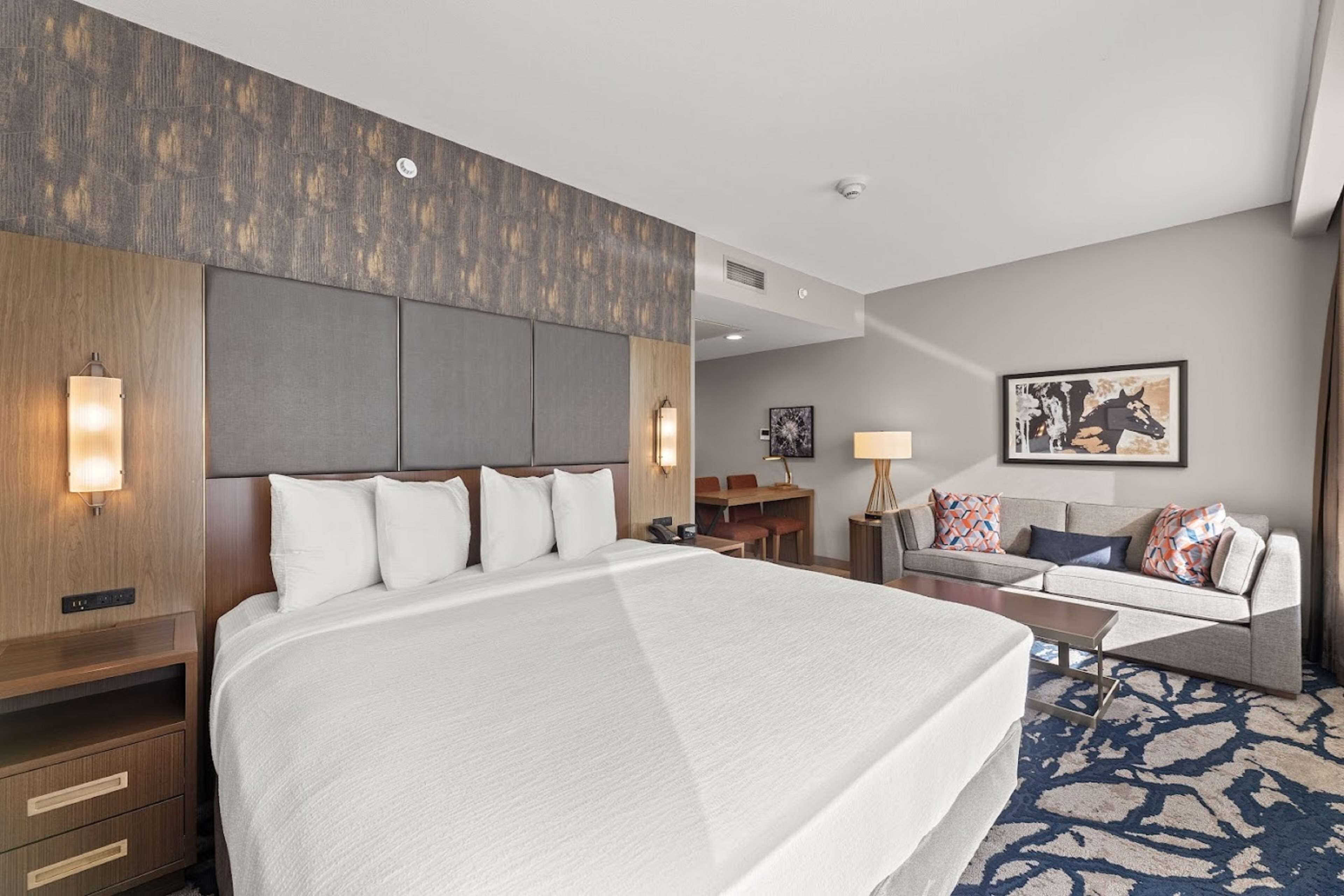 スイート キングベッド 1 台 | リビング エリア