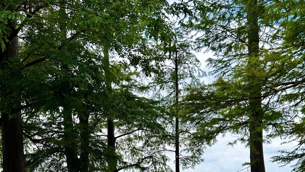 Eine Holzterrasse mit roten Geländern, Sitzgelegenheiten im Freien und Blick auf einen See.