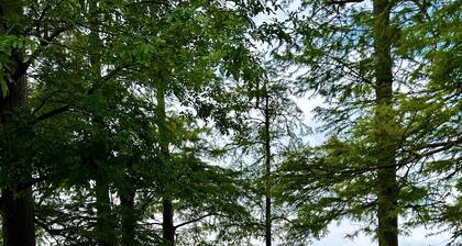 Relaxing, Lakefront & Roomy Great for fishing, duck hunting, & family gatherings