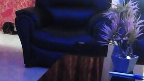 Una sala de estar con un sofá negro, una mesa de centro de vidrio y una planta en maceta.