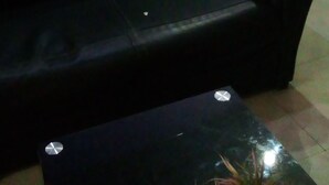 Una sala de estar con un sofá negro, una mesita con una planta, un refrigerador y una cortina.