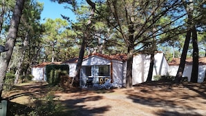 Une cabane rustique avec un toit recouvert de tuiles rouges, entourée de grands pins.