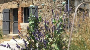 Un edificio rústico de piedra con puerta y contraventanas de madera, rodeado de plantas de lavanda.