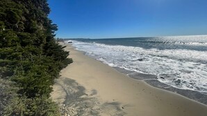 En strand med vågor, en klar himmel och ett skogsområde.