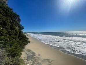 A beach with waves, a clear sky, and a forested area.