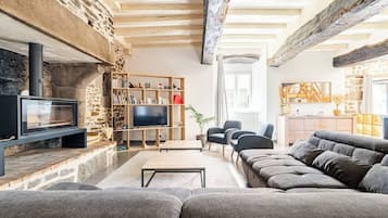 Télévision, cheminée, livres