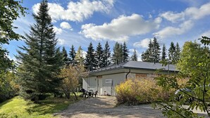 A small building with a metal roof, surrounded by trees and a gravel path. - Muurame-City Studios (Muurame)