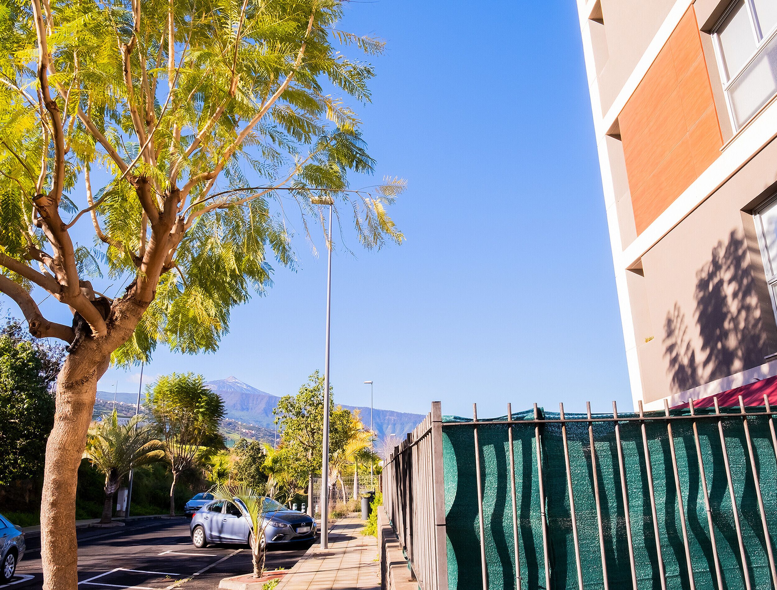 Une rue bordée de voitures garées, un arbre et un bâtiment entouré d’une clôture verte.