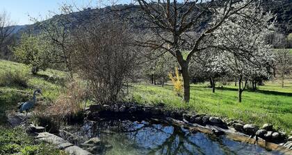 Ferienwohnung 'Bastide La Fondue' mit Gemeinschaftsterrasse und Gemeinschaftsgarten