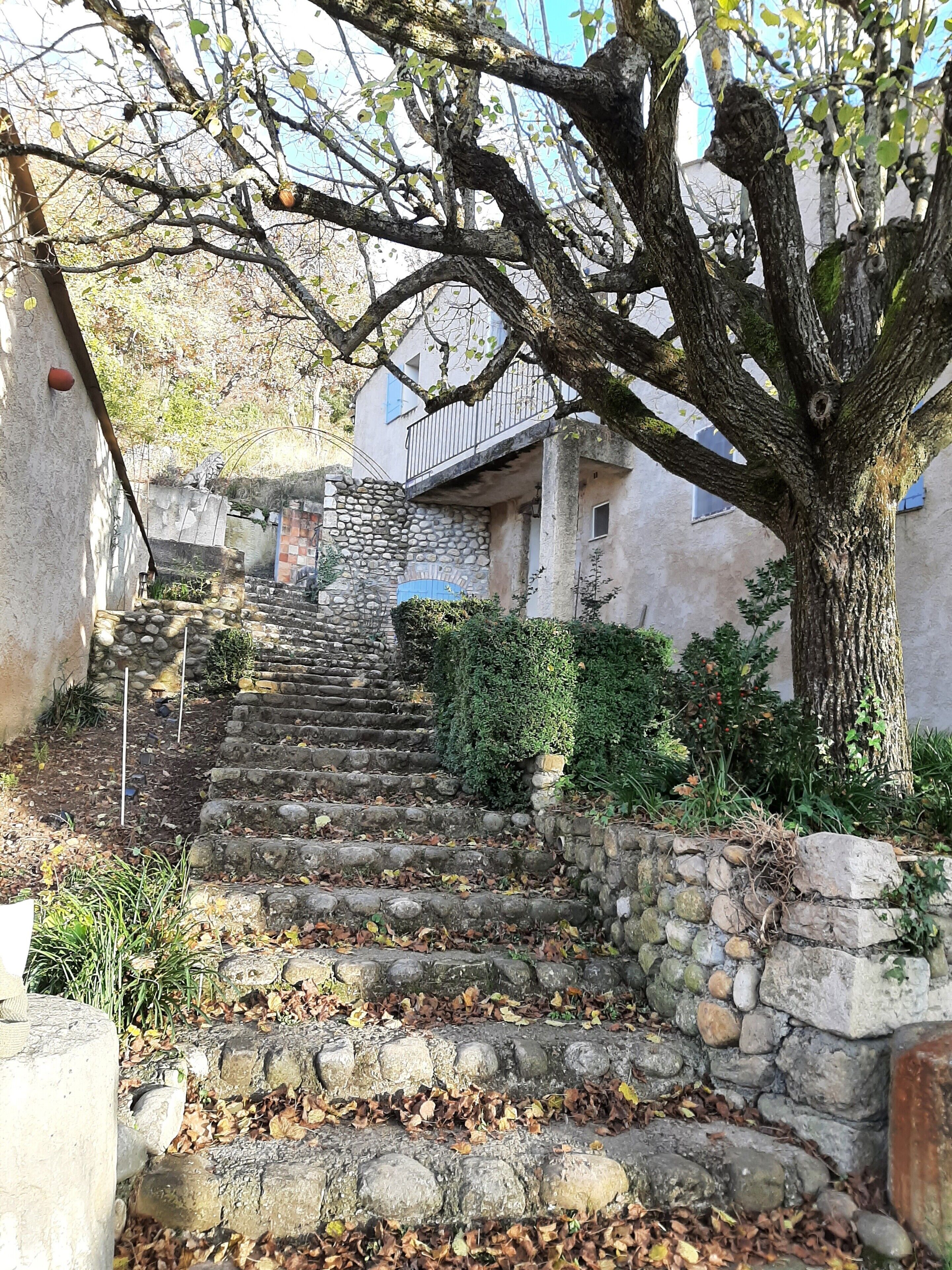 Eine steinerne Treppe führt zu einem Gebäude mit einem Balkon, umgeben von Bäumen und Grünpflanzen.