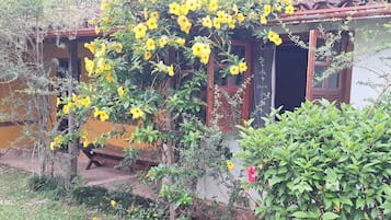 واي فاي مجانًا وملاءات أسرّة