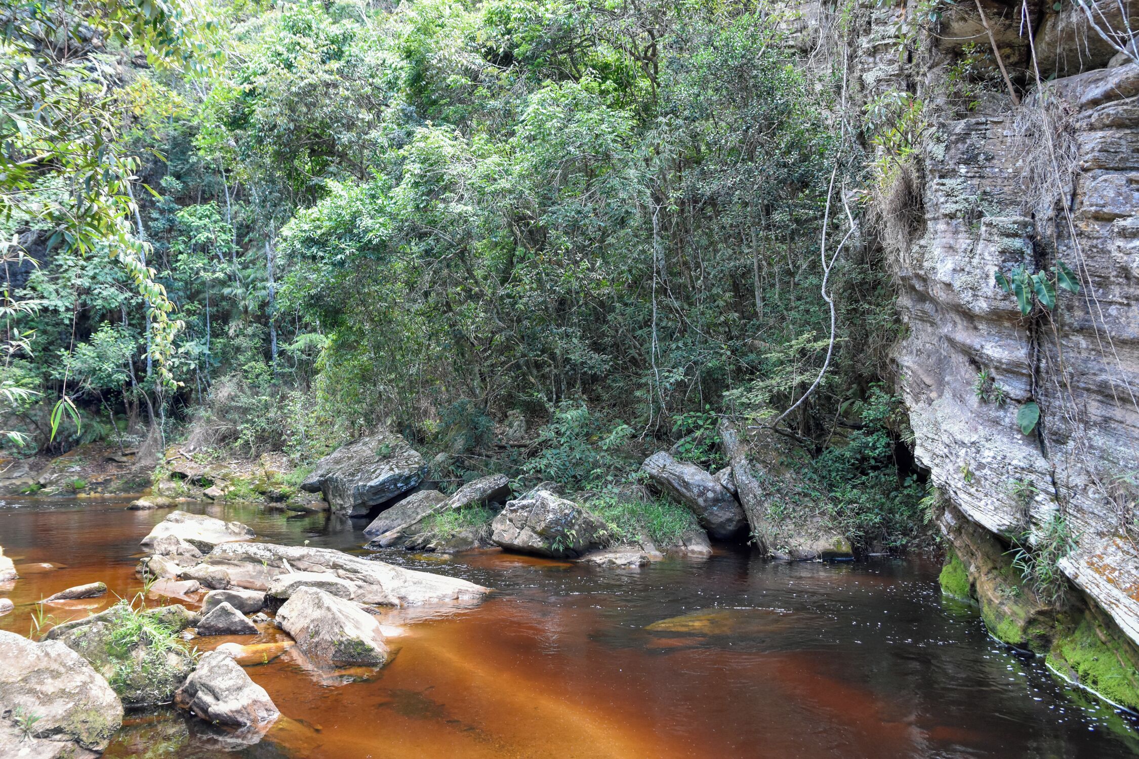 Paisagem natural com rio, pedras e vegetação densa.