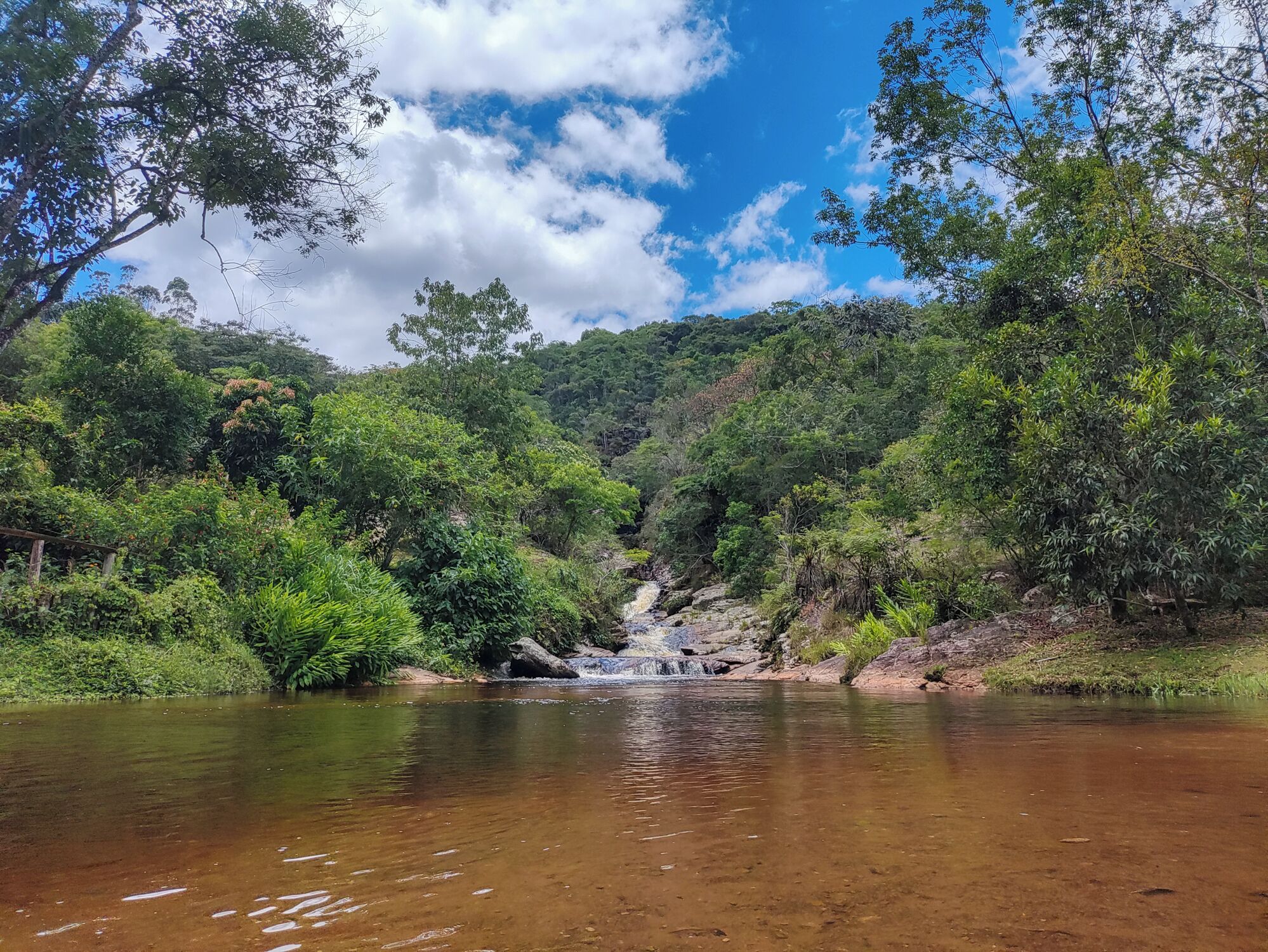 A river flowing through a forested area with a waterfall.