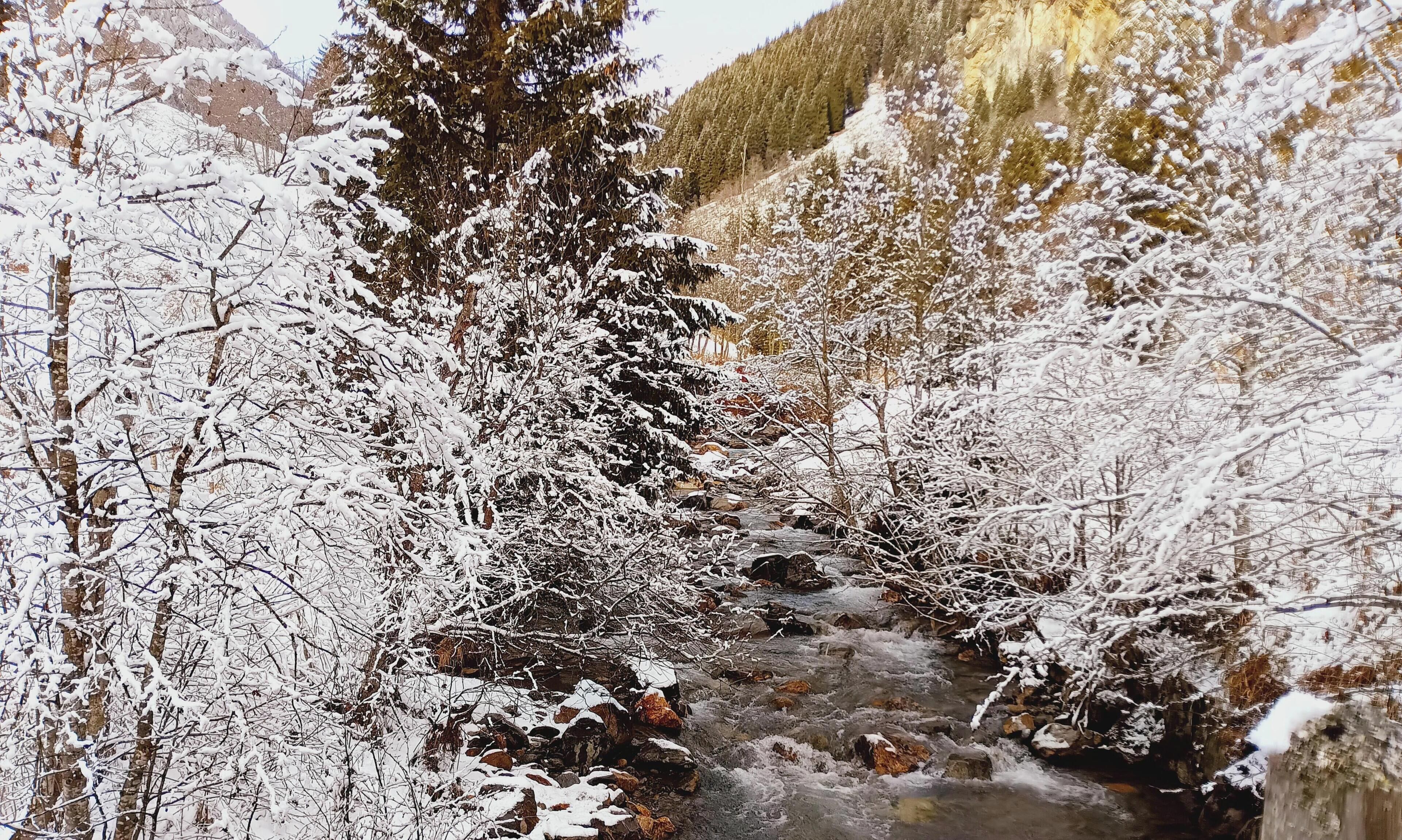 Un paysage enneigé avec un ruisseau, des arbres et une montagne en arrière-plan.