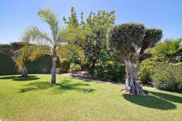 A well-maintained garden with various trees and a neatly trimmed lawn.