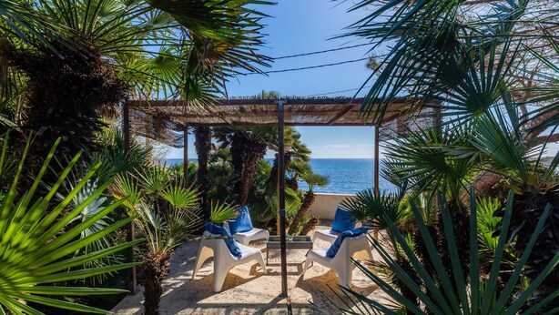 Ein überdachter Außenbereich mit Stühlen und Tisch, umgeben von Palmen und mit Blick auf das Meer.