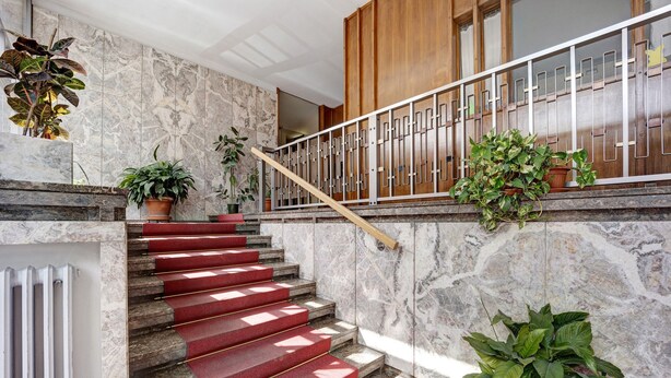 Un escalier en marbre avec des marches recouvertes d’une moquette rouge, une rampe en bois et des plantes en pot.