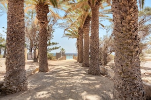 A pathway lined with tall palm trees leading to a building with a blue door. - Villa 'Retiro Praia' with Mountain View, Private Terrace and Wi-Fi (Campo de Baixo)
