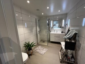 Dusche, Haartrockner, Handtücher, Seife