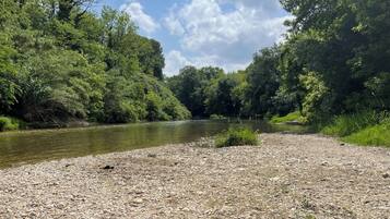 Chaises longues, serviettes de plage