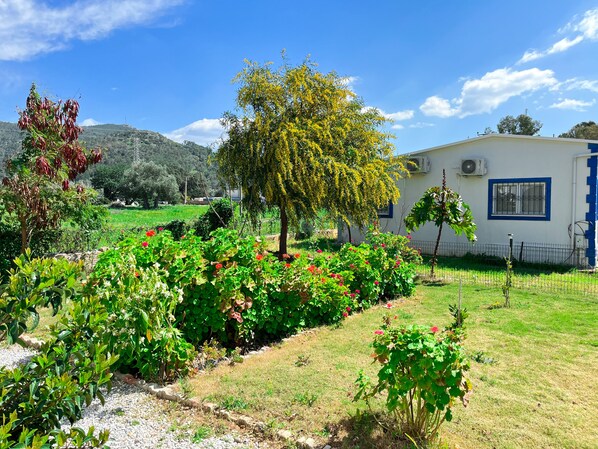 View from property - Yalıyanı Motel & Restaurant (Bodrum)