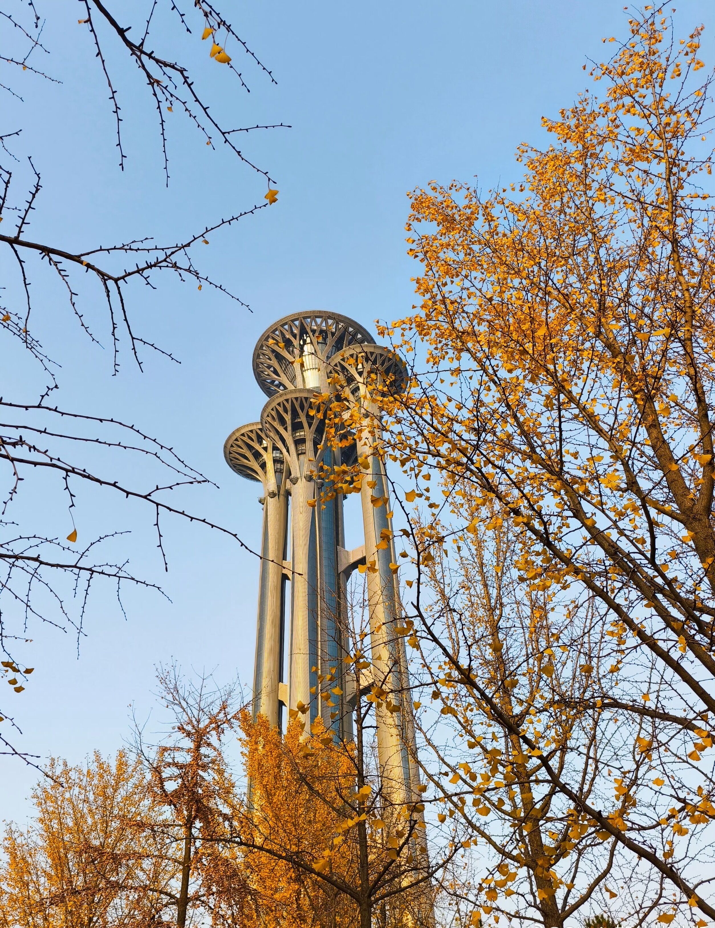 Foto - Nostalgia S Hotel Beijing National Stadium-Bird's Nest