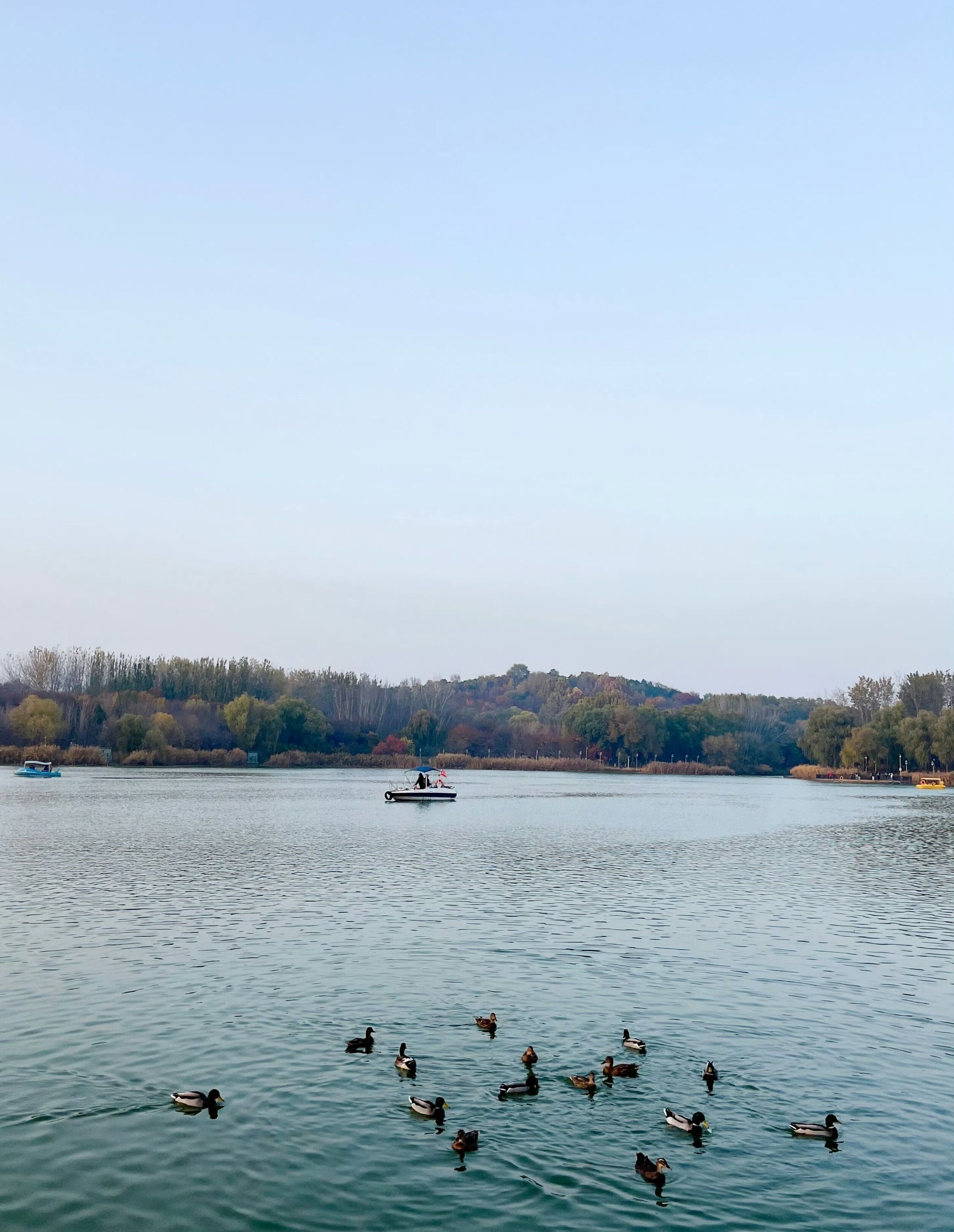 Foto - Nostalgia S Hotel Beijing National Stadium-Bird's Nest