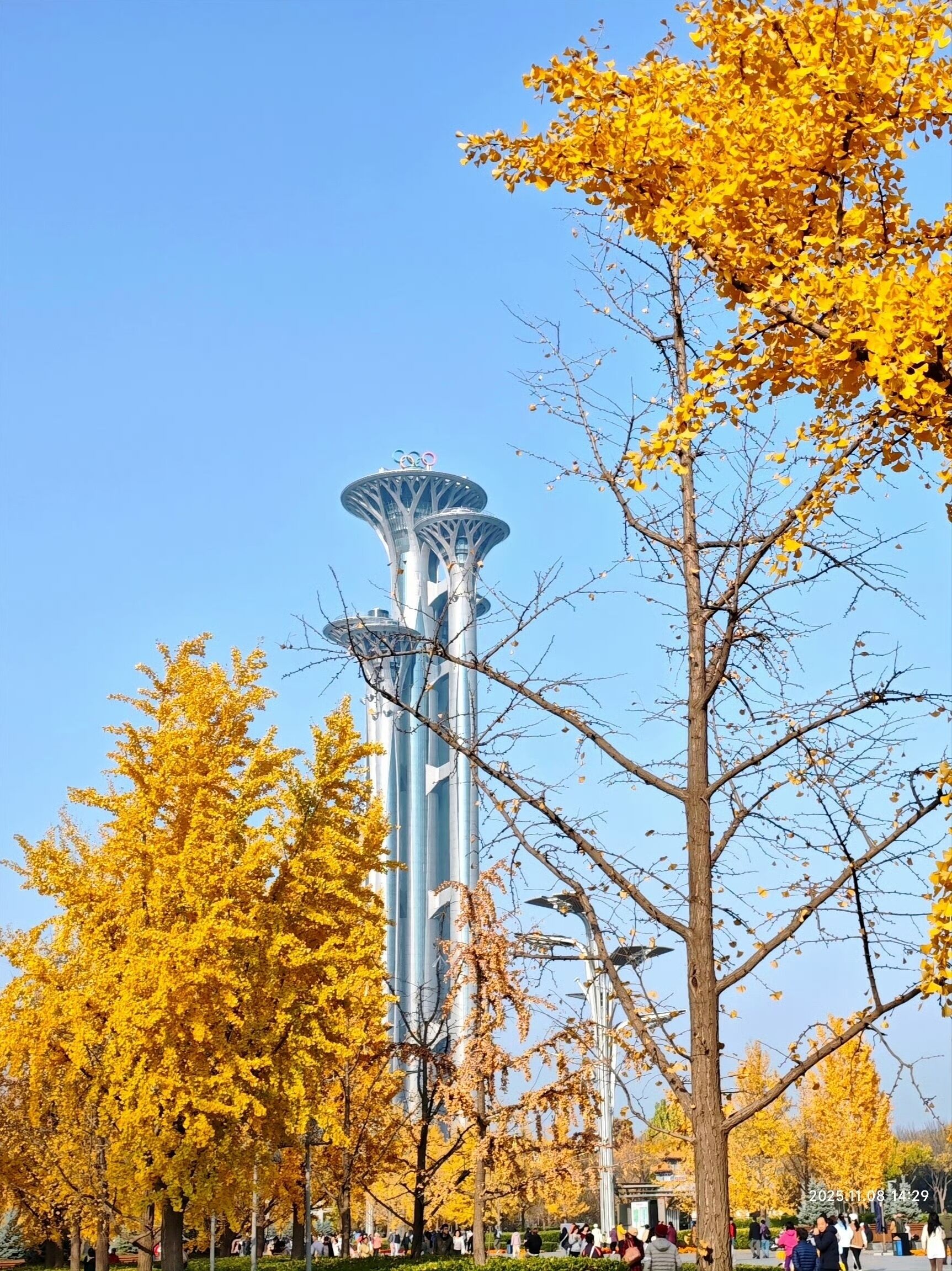 Foto - Nostalgia S Hotel Beijing National Stadium-Bird's Nest