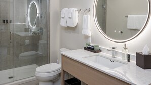 A modern bathroom with a glass-enclosed shower, a toilet, a sink with a mirror, and a towel rack. - Sucia - Dramatic Eastsound Bay View (Eastsound)