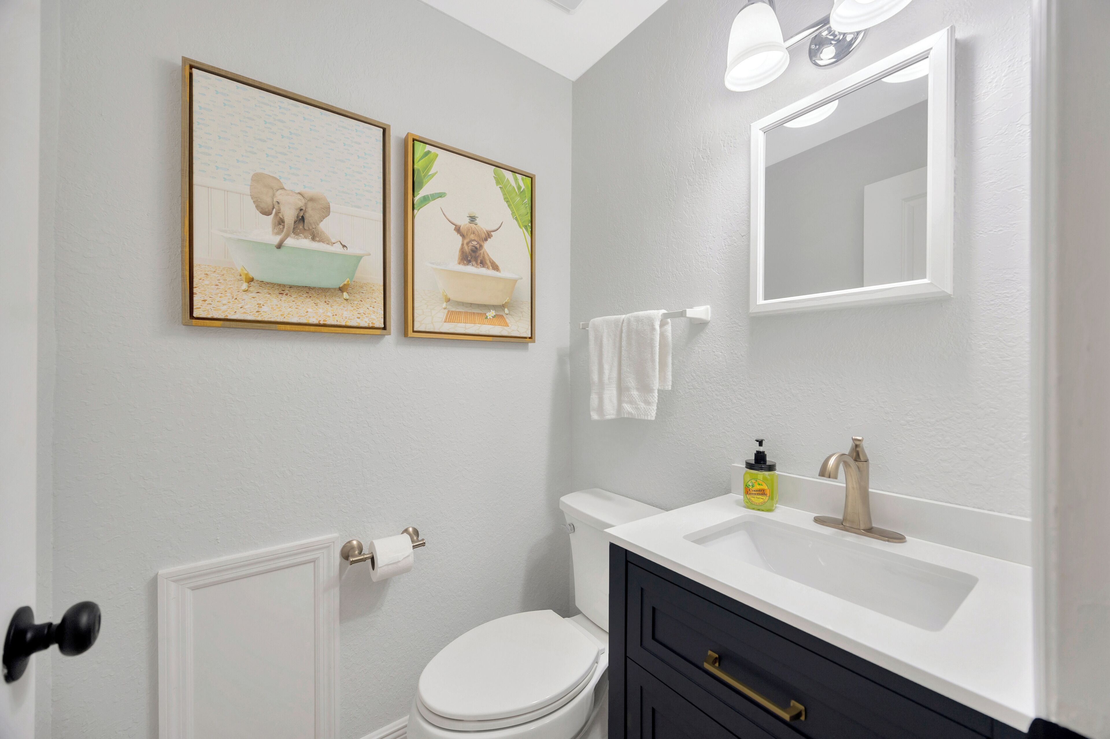 Une salle de bain avec des toilettes blanches, un lavabo avec un miroir et deux tableaux encadrés au mur.