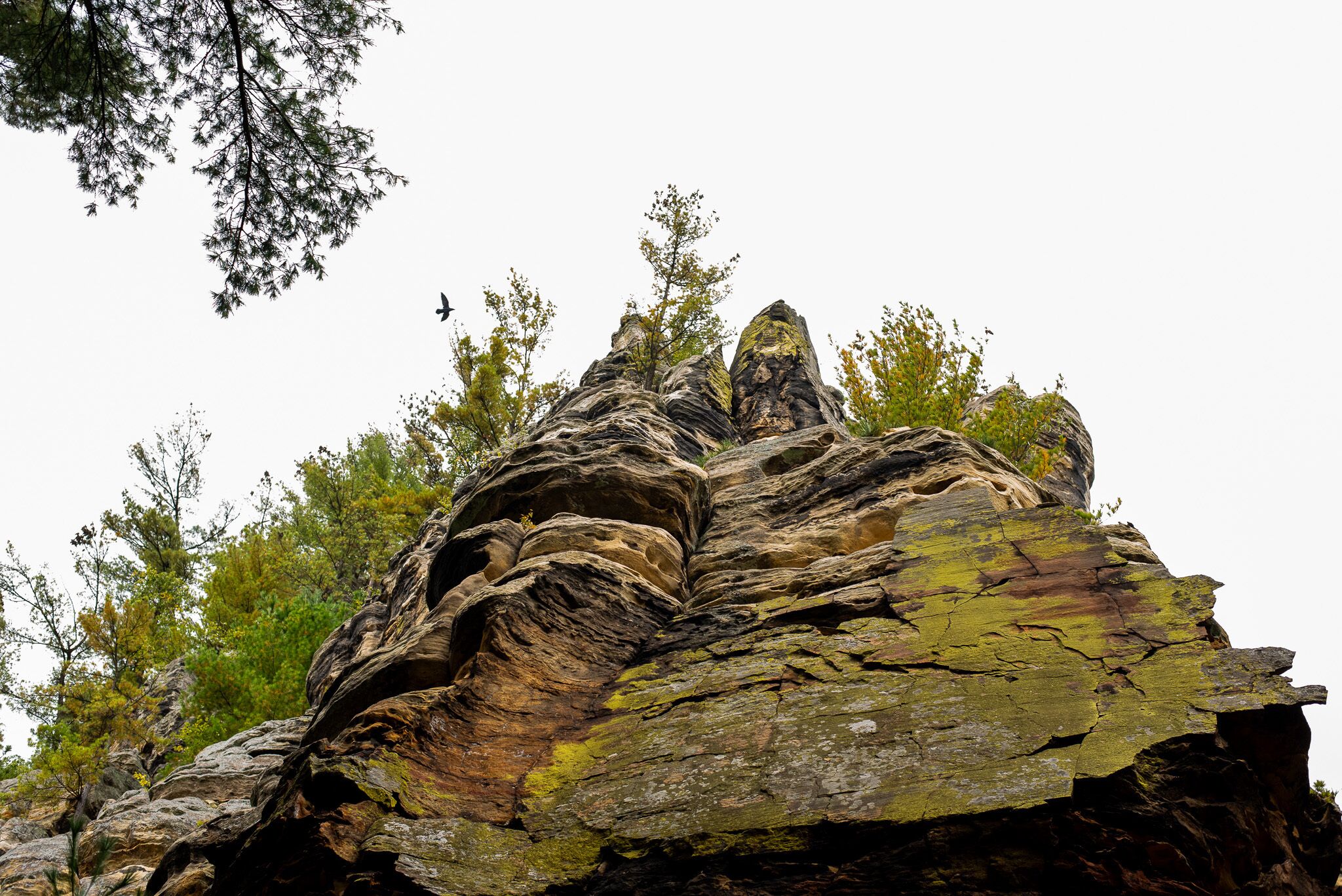 Une grande formation rocheuse présentant une stratification visible et quelques éléments de végétation.