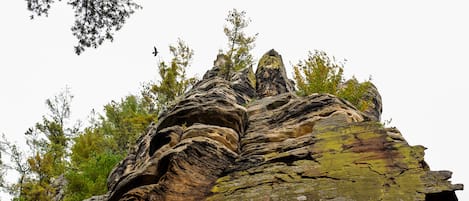 Une grande formation rocheuse présentant une stratification visible et quelques éléments de végétation.