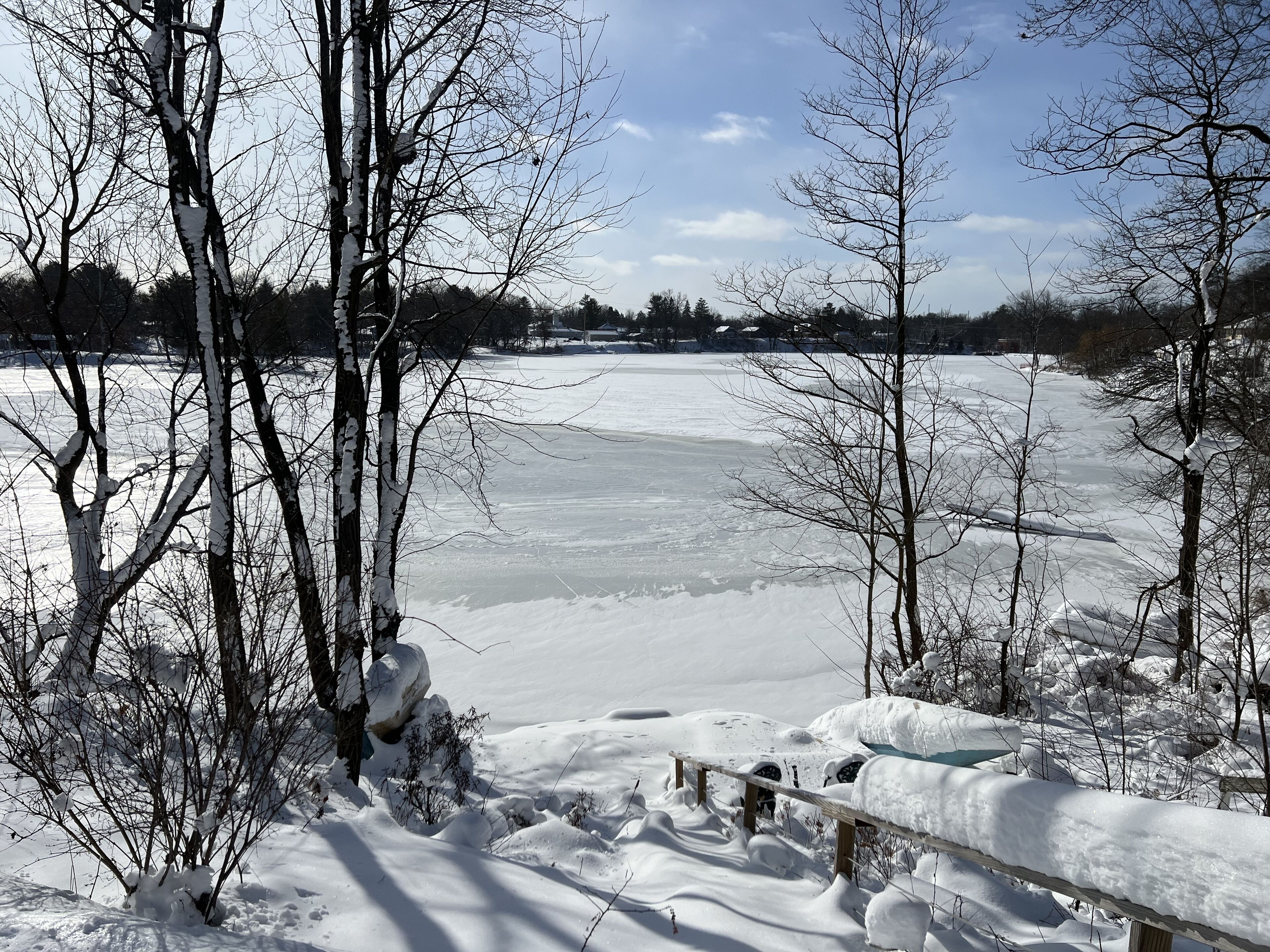Un lac gelé, bordé d’arbres couverts de neige, avec une clôture en bois au premier plan.