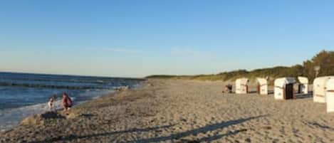 Beach nearby, sun-loungers