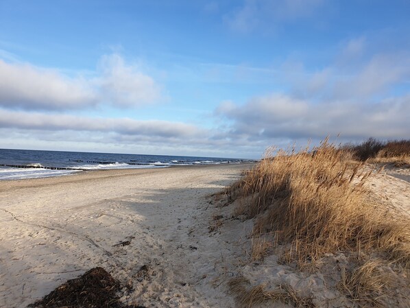 Beach nearby, sun-loungers