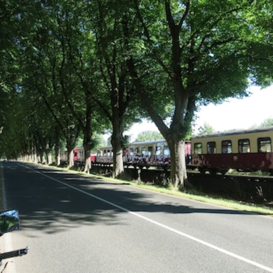 A tree-lined street with a vintage train on the tracks.