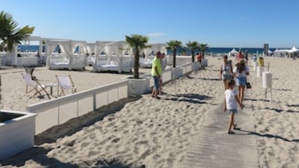 A beach with white beach chairs and umbrellas, a concrete walkway, and palm trees.