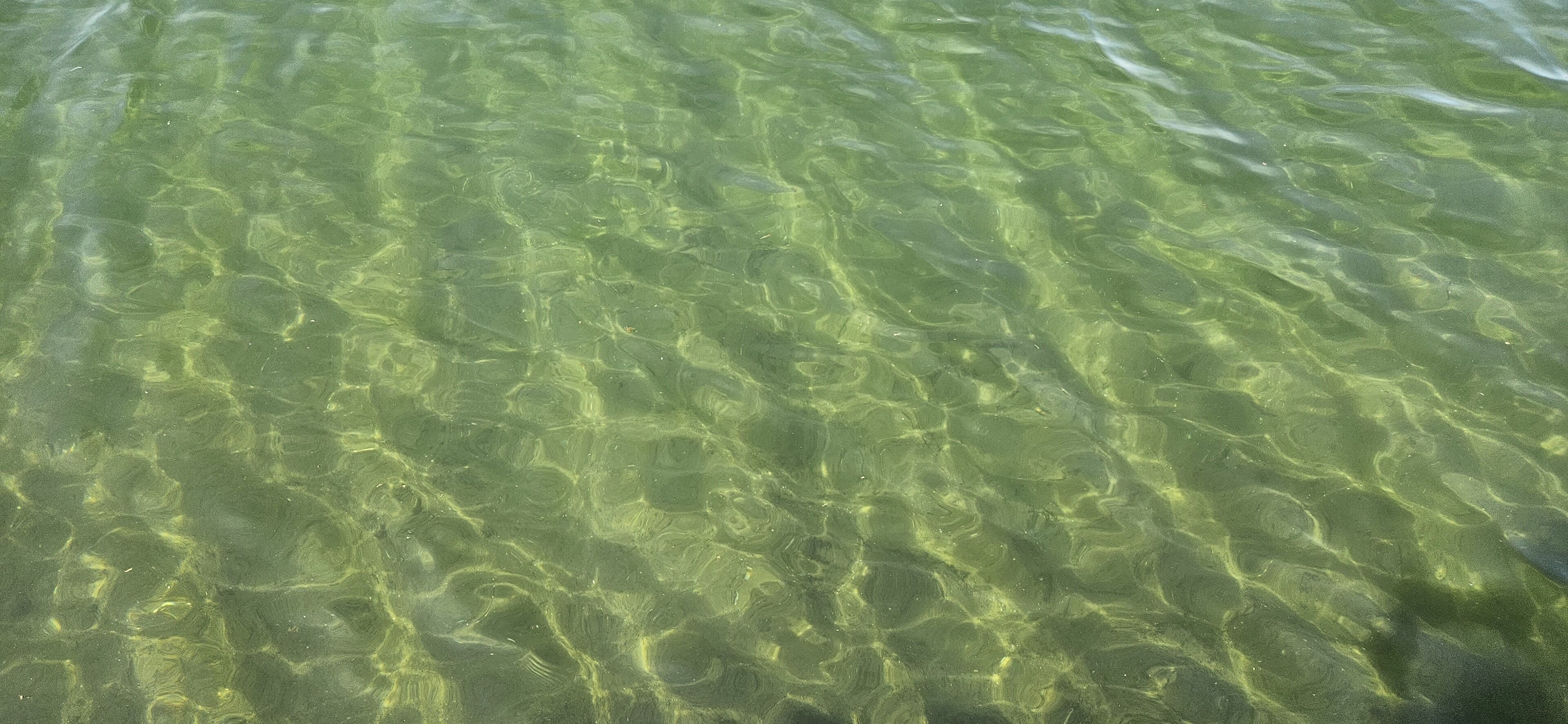 Eine klare Wasserfläche, ohne erkennbare Details.